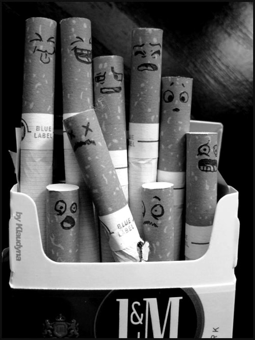 http://vida-poesia-crua.tumblr.com/post/35240280412