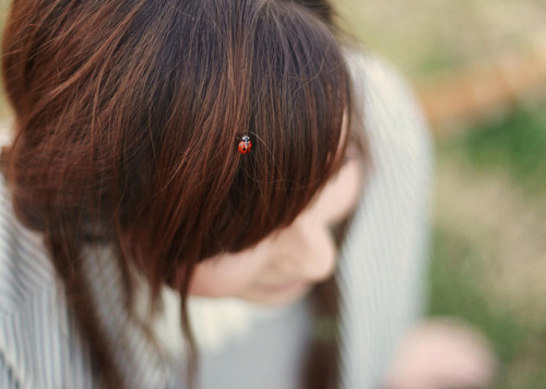 oversizedcardigans: ladybug by Amanda Jo Flinn on Flickr.