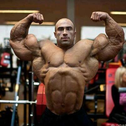 Muscles Muscles and More Muscles