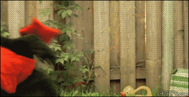 thiswastheirfinesthour:  whaaaaaaat hahahahahahahaha