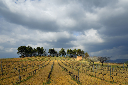 Roussillon, France 