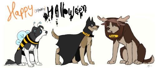 askspndogs:Happy (late) Halloween pups!There have some team free will on their costumes!their costum