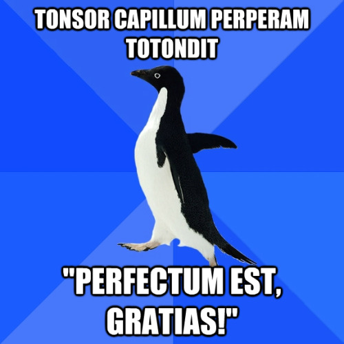 interretialia:interretialia:Tonsor capillum perperam totondit&ldquo;Perfectum est, gratias!&rdquo;Ba