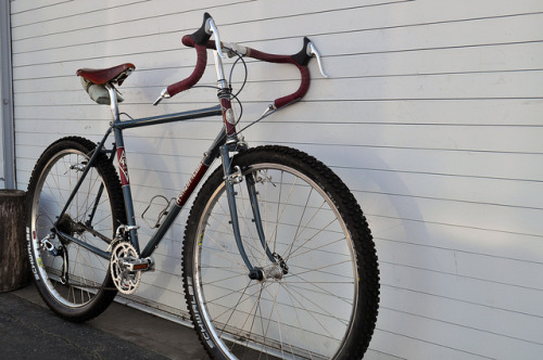 therubbishbin: cat2012Dave_067 by rivbike on Flickr.