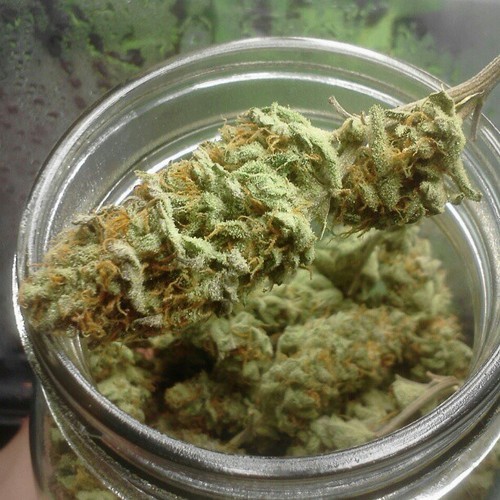 Previously Videogamesandmaryjane