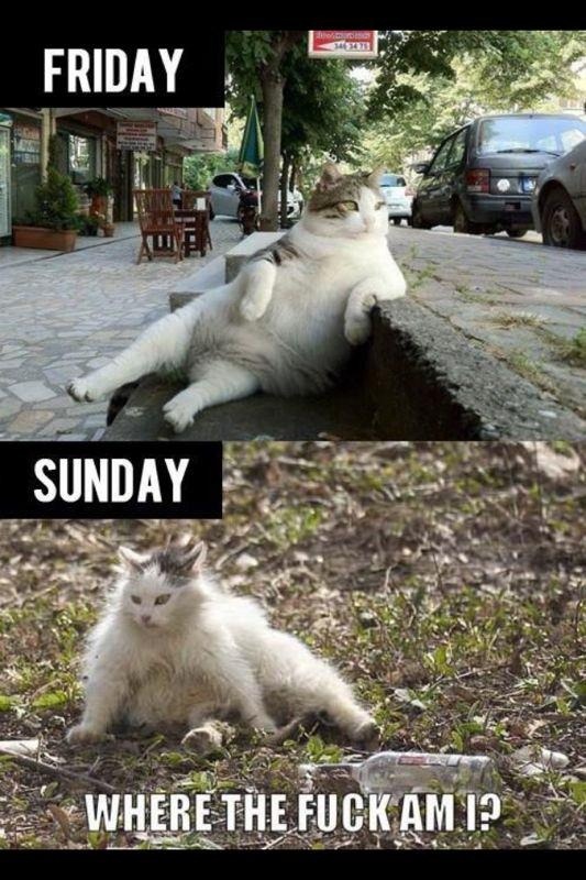 Ah, weekends &hellip;