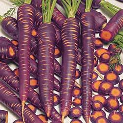 Purple Haze carrots … yep, they’re
