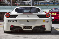 Automotivated:  Sexy Back! (By Am Photography ®)