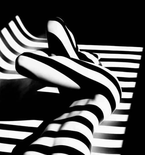 ZEBRA 14,2000 - “Optic stripes”Francis Giacobetti