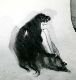 sisterwolf: Longhaired babe - Stan Shuttleworth  