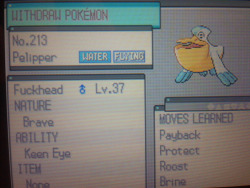 mr-radical:  caught this pellipper today he broke out of 3 pokeballs, 10 great balls, 2 ultra balls, a premier ball, and 2 net balls, kept using roost and protect, and he killed 2 of my pokemon i almost just gave up and killed him out of frustration but