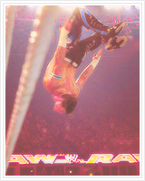 XXX evanbournes:  Top 5 Favorite WWE Finishers photo