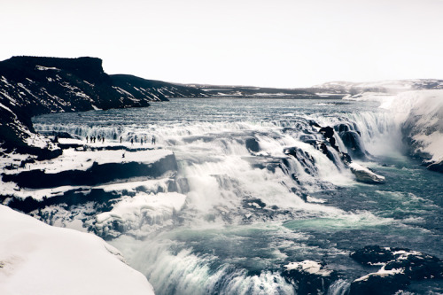 farewell-kingdom:  Greta Tuckute || follow her on Tumblr