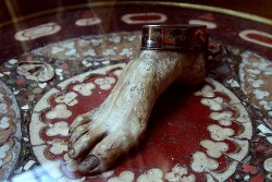 frontal-cortex:  The Table “Created by Efisio Marini - This table is formed of petrified brain, blood, bile, liver, lungs and glands on which sits a foot, four ears and cut vertebrae which are also petrified.” Taken @ Musée d’Histoire de la Médecine