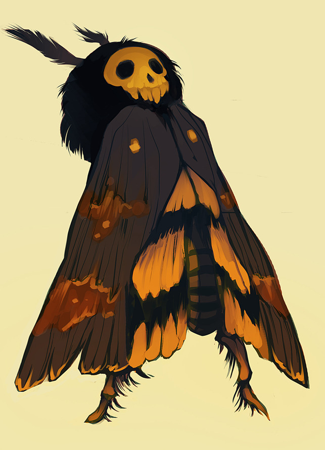 coconutmilkyway:  my roomie and i made moth characters and his name is sebastian