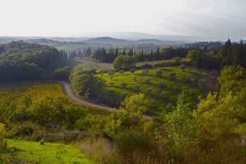 cultivationist: Toscana