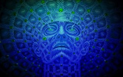 skeletongarden:  Alex Grey