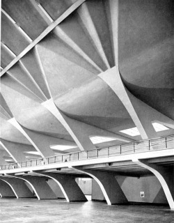 jmeijide:  palais de turin . pier luigi nervi