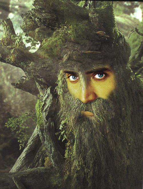 Nicolas Cage as Treebeard