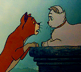 disneyyandmore-blog:Disney Animal Couples