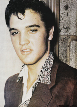 heartburnmotel:  Elvis at the Brooklyn High School Auditorium in Cleveland, Ohio on October 20th, 1955. 