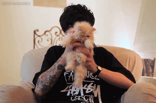 sampepper:  say hello yoda (X) 
