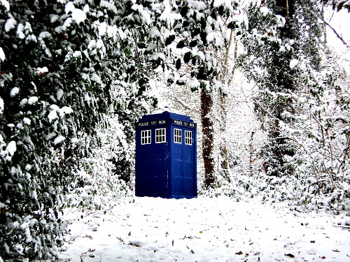 winterinthetardis:#I WANT TO WALK THROUGH A SNOWY FOREST AND SEE THIS OKAY