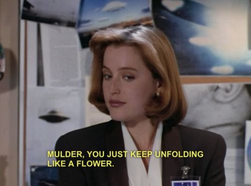 misandrwitch:#fox mulder is a beautiful and delicate spring blossom