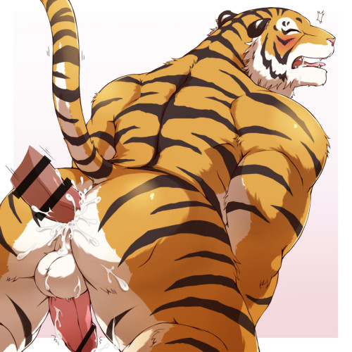 fatfur:  A request for some tigers was made adult photos