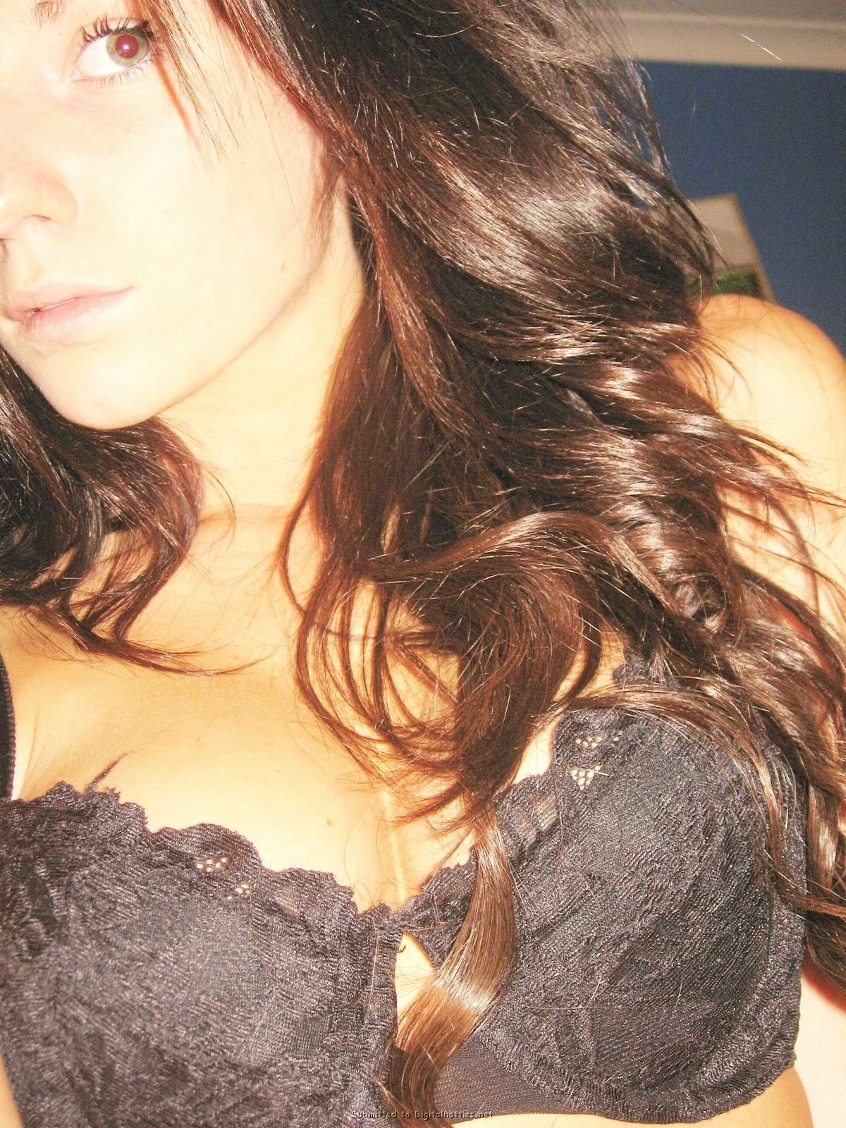 Free Webcams