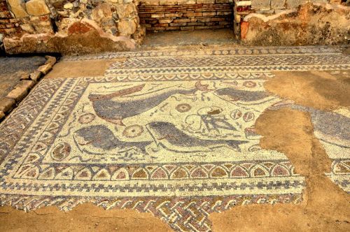 romegreeceart:Ancient Roman floor mosaics at the Milreu ruins.Photo courtesy carltonhobbs