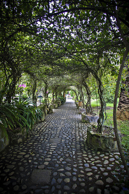 Walkway at Hosteleria and Hacienda Pontavi, Salinas, Ecuador (by Pete Flick).