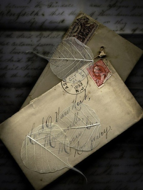To actually read words handwritten by the sender, is to truly experience a piece of them. Such an intimate exchange that has fallen by the wayside…what a shame.