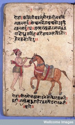 thingsofthisworld:  Salihotra (Hindi): Asvacikitsa of Purusottama [treatise on horses]. 