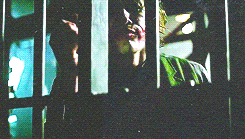  The Dark Knight Trilogy (x)  “They told me there was nothing out there, nothing to fear. But the night my parents were murdered I caught a glimpse of something. I’ve looked for it ever since. I went around the world, searched in all the shadows.