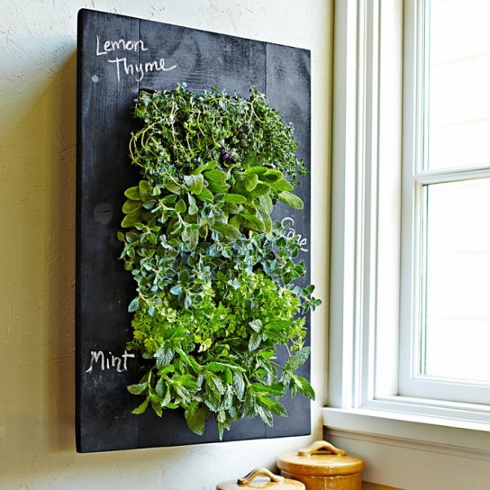 livinglovingbetter:  Love this - (via 3 Ways to Go Vertical with Your Garden) 