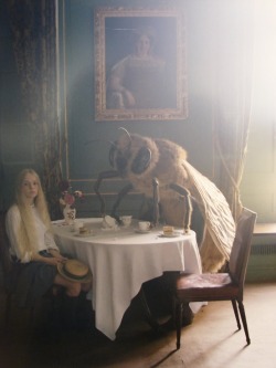 siftingflour:  ph. Tim Walker Does anyone