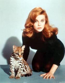 yodaliane:  Ann Margret 