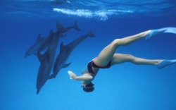 Snorkelling with dolphins at Grand Bahama