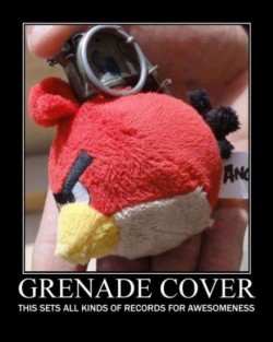 airbornebear:  Angry Birds grenade cover…