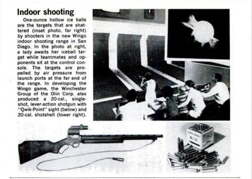 peashooter85:WINGO!!!!Wingo was an experimental indoor shooting sport created by the Winchester Comp