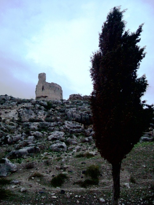 vertigo1871: Today Herean Mountains, Sicily