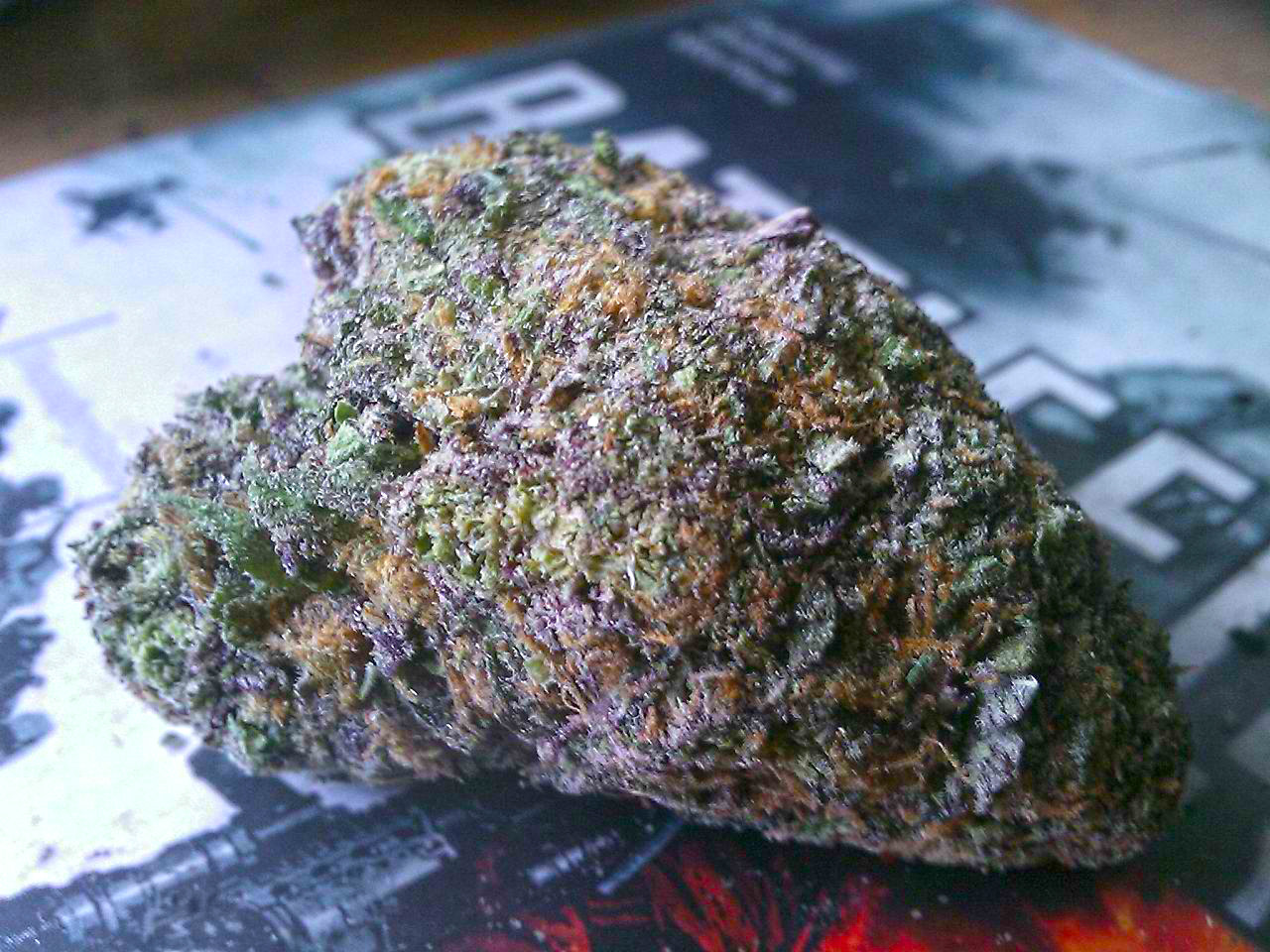 Minnesota Nice