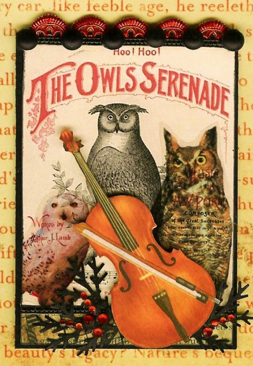 The Owls Serenade (1894). Sheet music cover. Sheet music published by Petrie Music Co, Chicago. Musi