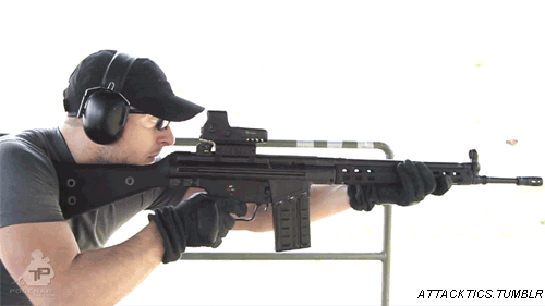 attacktics:  Heckler &amp; Koch G3