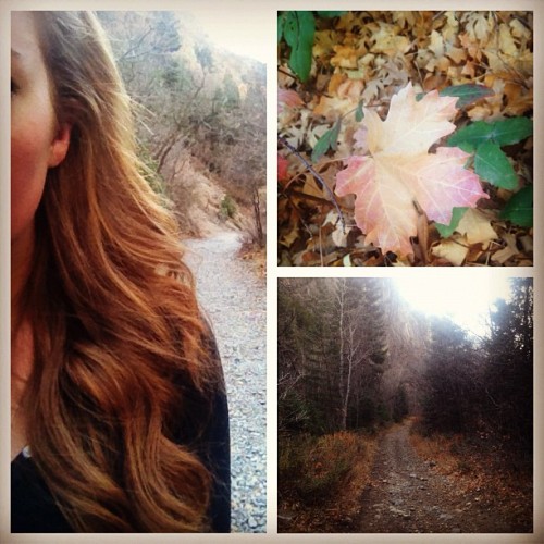I love Utah in the fall more than anything (almost)!! #utah #thisiswhereilive #autumn #myheart #glor