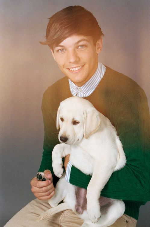 ayeharrystyles:  the puppy dog photo shoot did not help them look any straighteri mean sexy gay nerdy gay fuck me gay  cute gay  creepy as fuck gay  