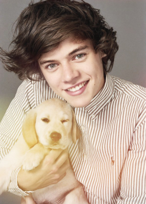 ayeharrystyles:  the puppy dog photo shoot did not help them look any straighteri mean sexy gay nerdy gay fuck me gay  cute gay  creepy as fuck gay  