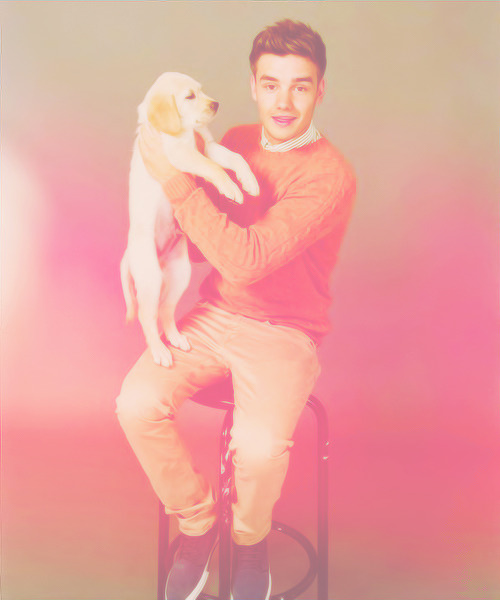 ayeharrystyles:  the puppy dog photo shoot did not help them look any straighteri mean sexy gay nerdy gay fuck me gay  cute gay  creepy as fuck gay  