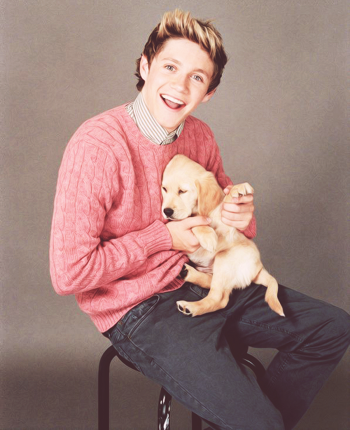 ayeharrystyles:  the puppy dog photo shoot did not help them look any straighteri mean sexy gay nerdy gay fuck me gay  cute gay  creepy as fuck gay  